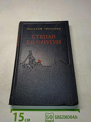 Степан Кольчугин. Роман в двух книгах. Книга первая