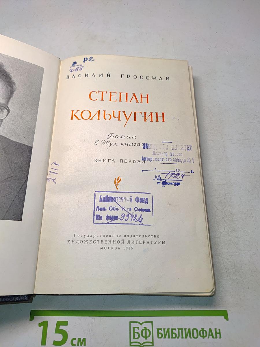 Степан Кольчугин. Роман в двух книгах. Книга первая