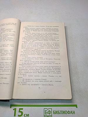 Степан Кольчугин. Роман в двух книгах. Книга первая
