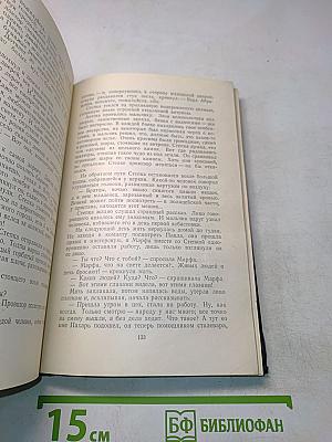 Степан Кольчугин. Роман в двух книгах. Книга первая