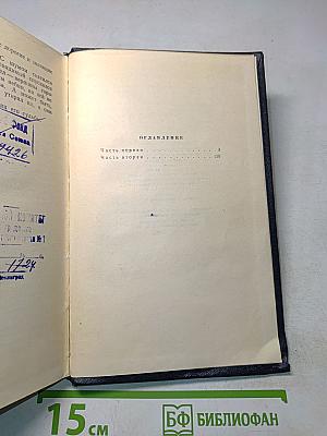 Степан Кольчугин. Роман в двух книгах. Книга первая