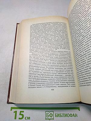 Сталин. Путь к власти 1879-1929