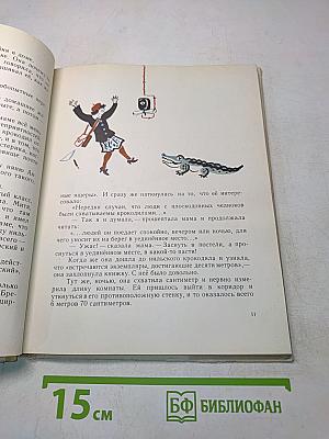 Катя и крокодил