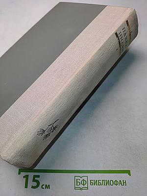 Испытательный срок. Повести и рассказы