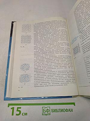 Физика. 10 класс