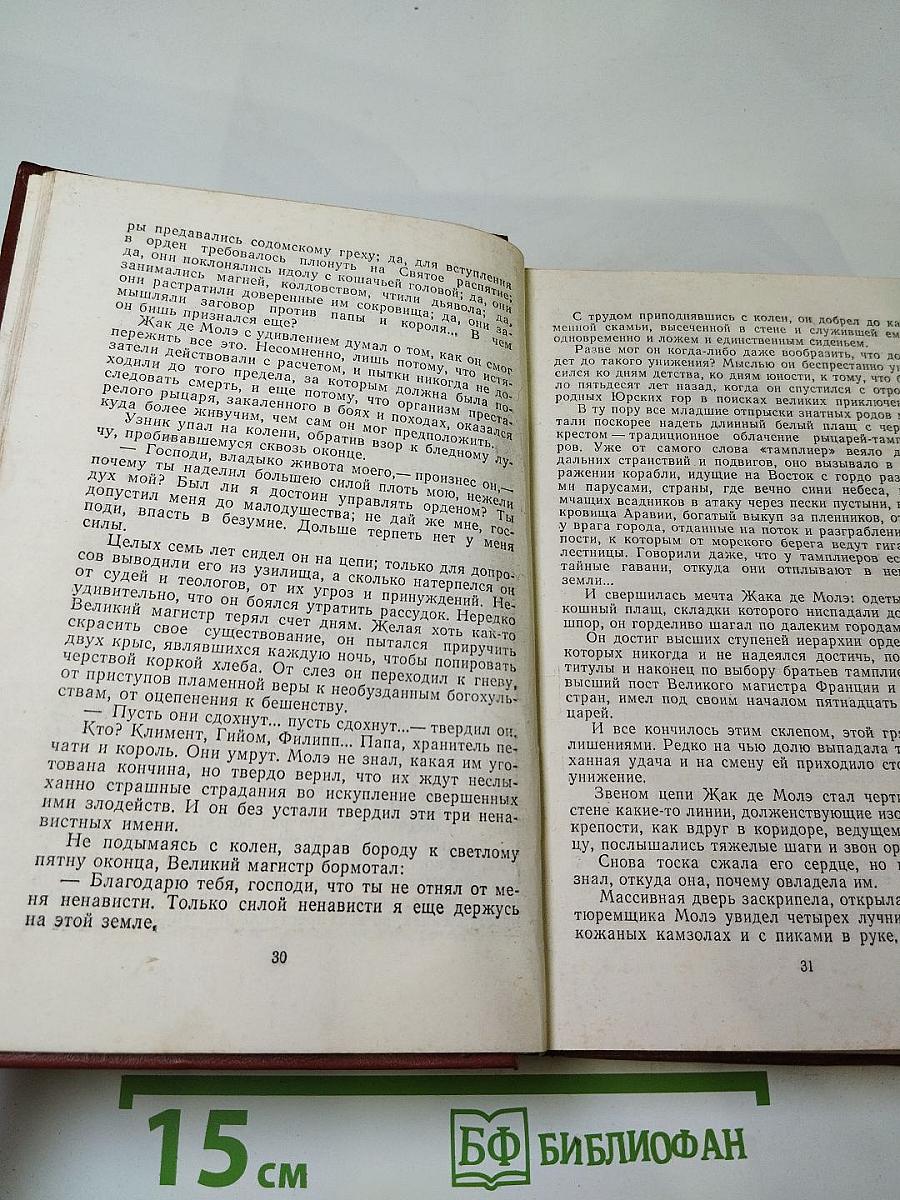 Железный король; Узница Шато-Гайара