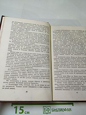 Железный король; Узница Шато-Гайара