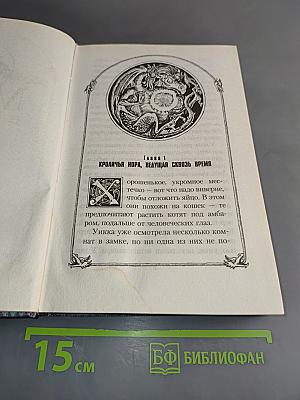 Магия в скорлупе