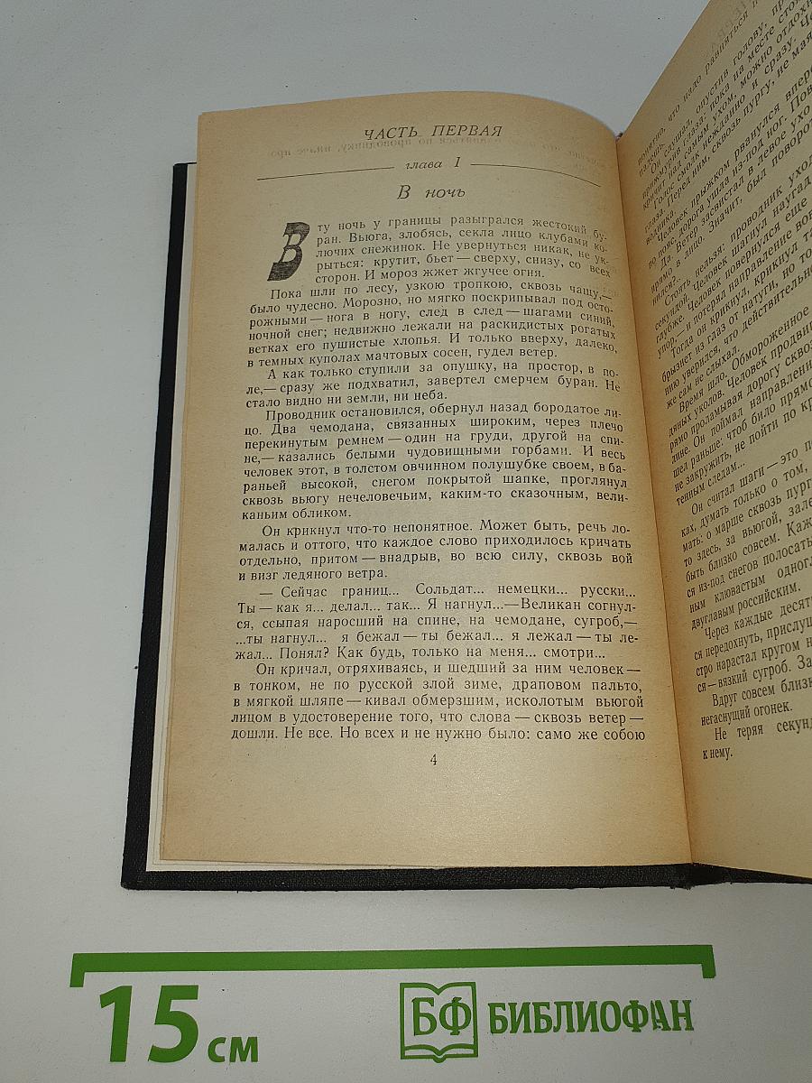 Грач-птица весенняя. Повесть о Н. Э. Баумане. Накануне 1917 год
