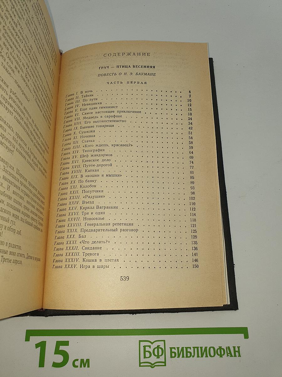 Грач-птица весенняя. Повесть о Н. Э. Баумане. Накануне 1917 год