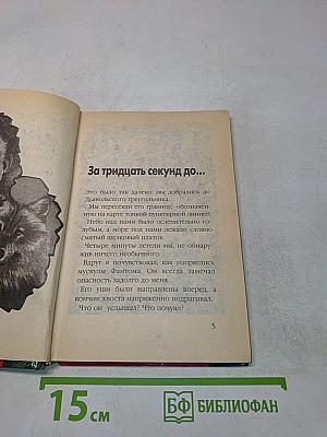 Марк Мега и Фантом. Пропавшие в Дьявольском треугольнике