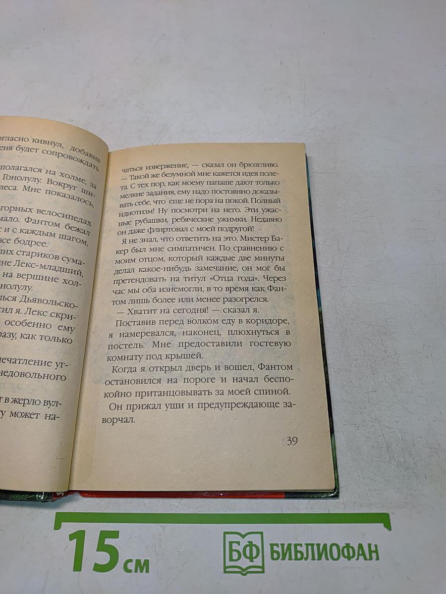 Марк Мега и Фантом. Пропавшие в Дьявольском треугольнике
