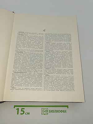 Большая Советская Энциклопедия. Том 40: Сокирки - Стилоспоры