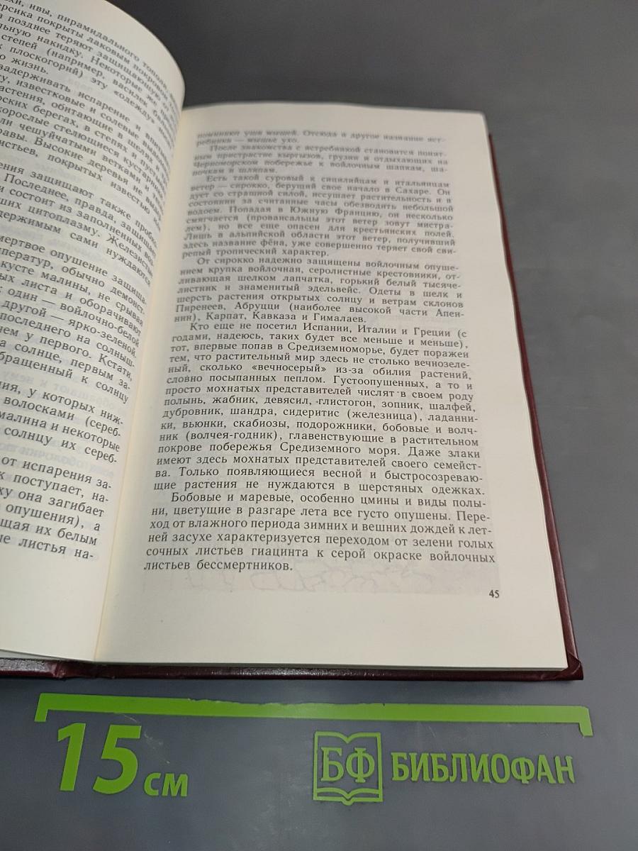 Растения от А до Я
