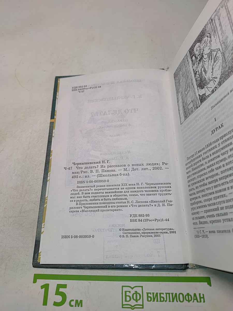 Что делать?