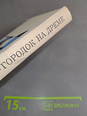 Городок на Дреме