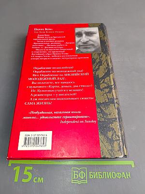 Дневник налетчика