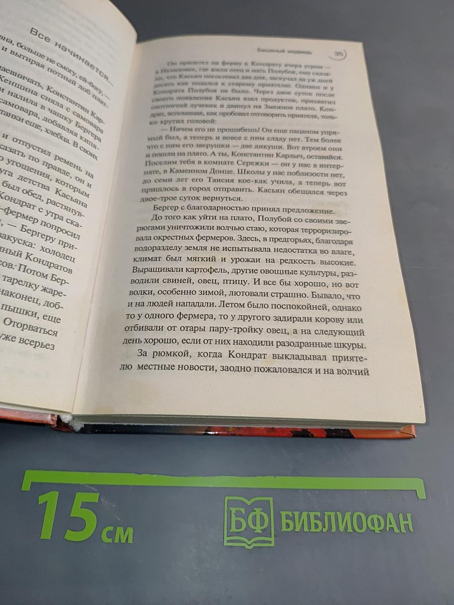 Бешеный медведь
