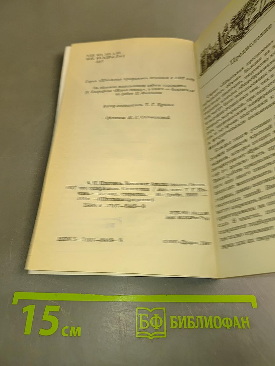 Котлован. Анализ текста. Основное содержание сочинения. Школьная программа