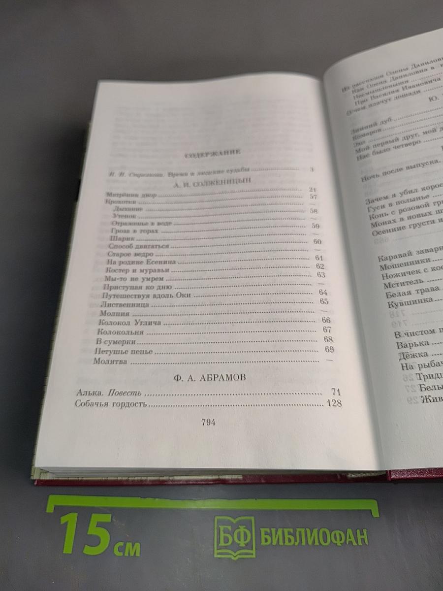 Рассказы русских писателей второй половины XX века. Книга II