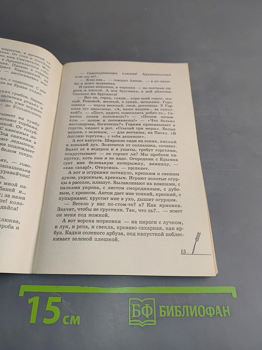 Лето Господне. Анализ текста. Основное содержание сочинений