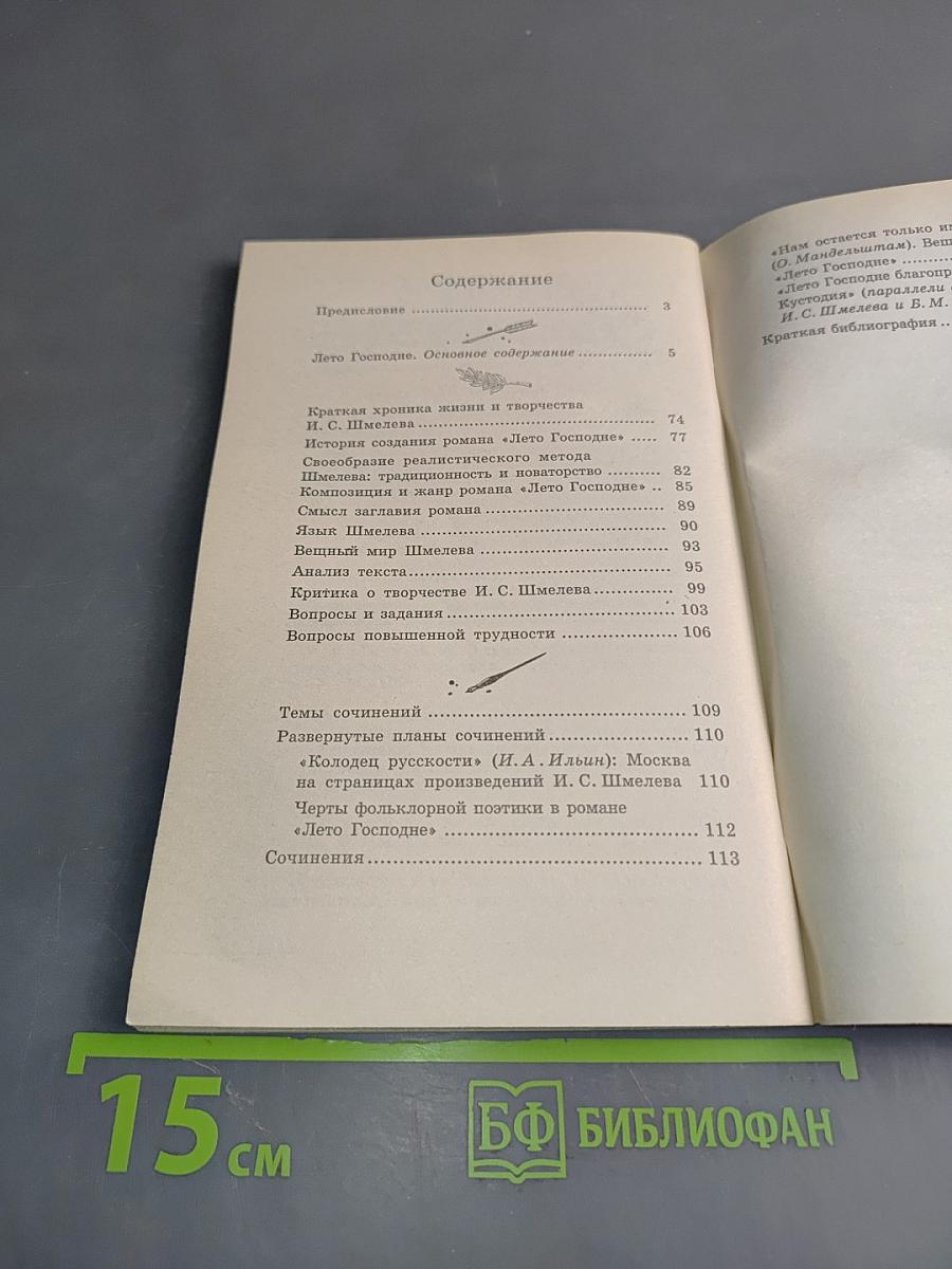 Лето Господне. Анализ текста. Основное содержание сочинений