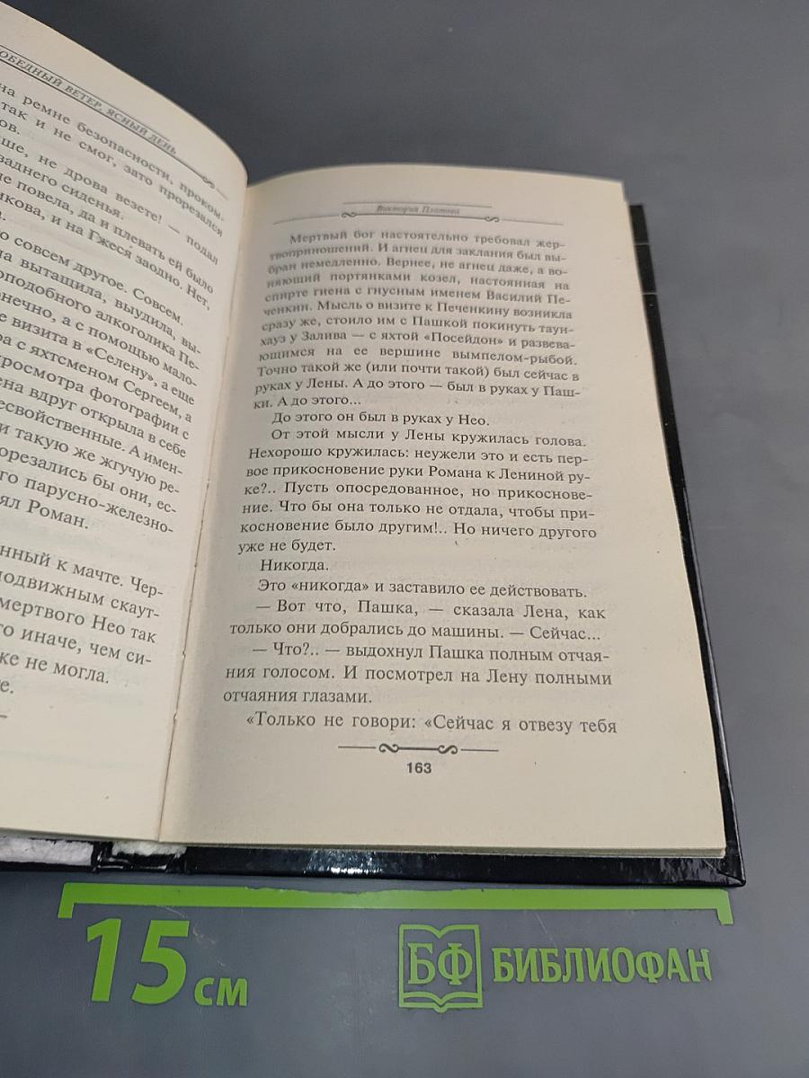 Победный ветер, ясный день. Книга вторая