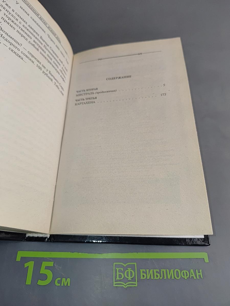 Победный ветер, ясный день. Книга вторая