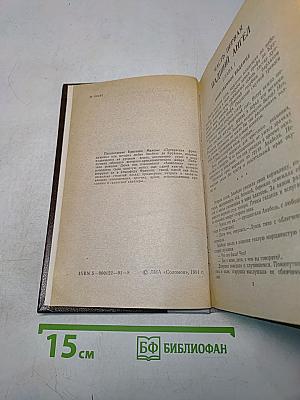 Прекрасная француженка, или История любви Анабель де Круазье