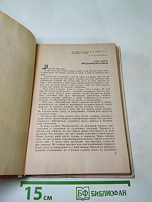 Где наша не пропадала