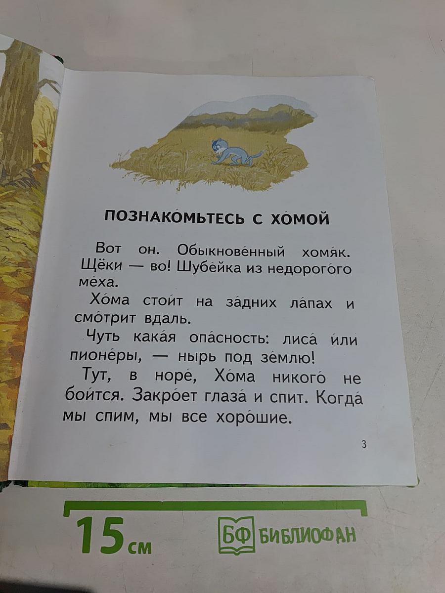 Весь мир – моя нора. Читаем сами