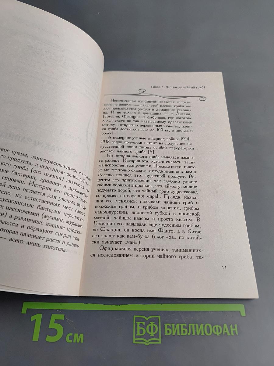Чудо-свойства чайного гриба