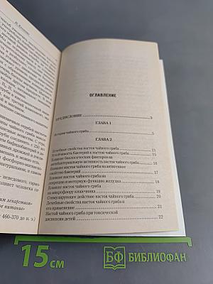 Чайный гриб