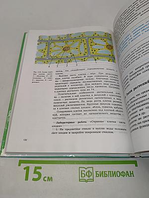 Естествознание 6 класс