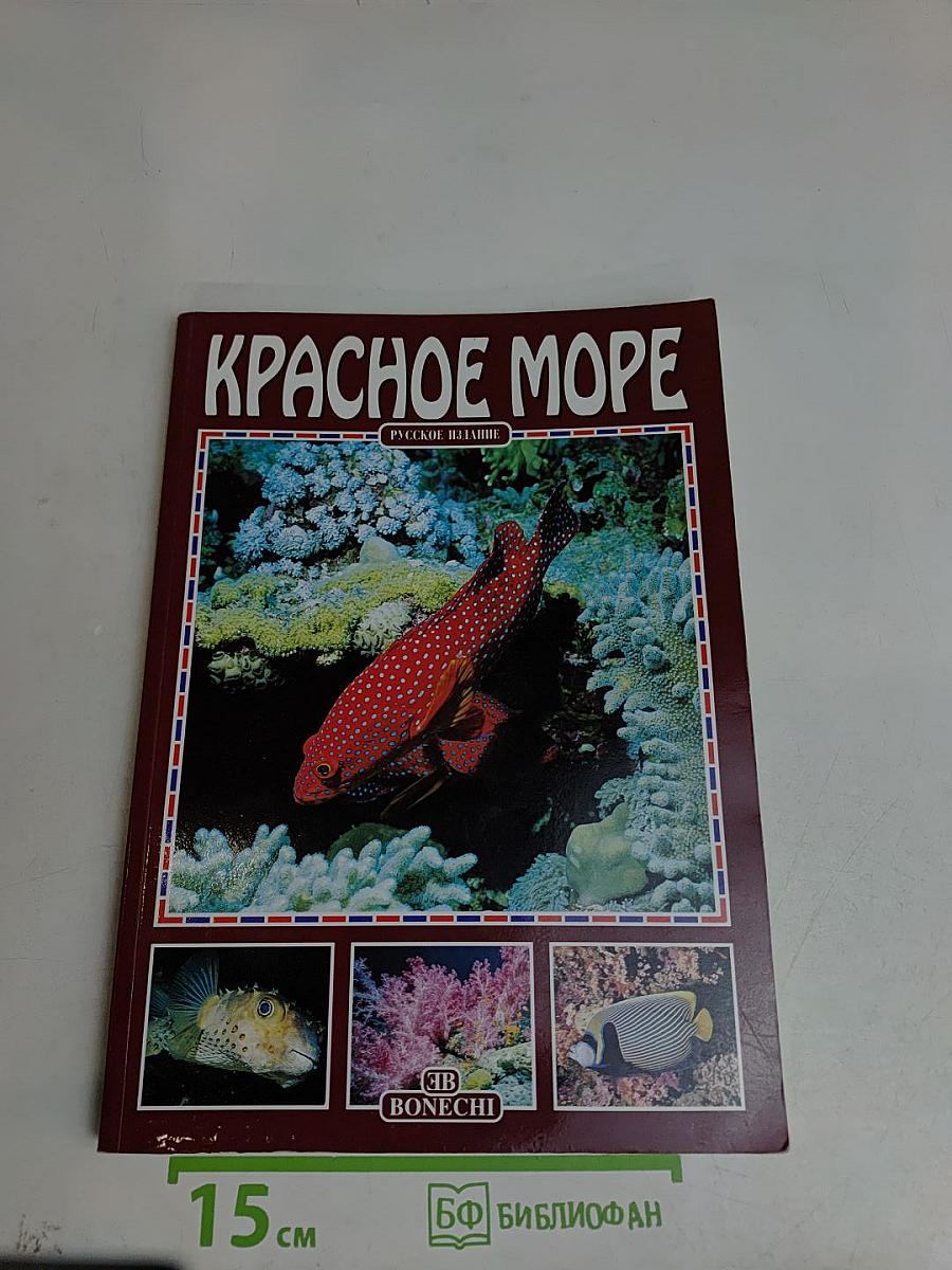 Красное море