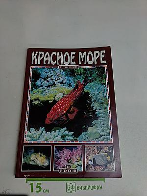 Красное море