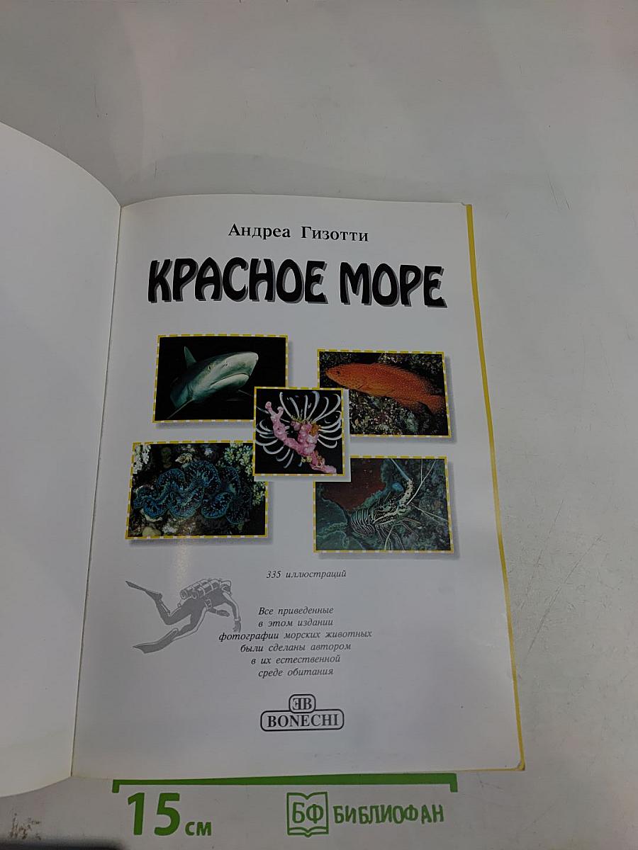 Красное море