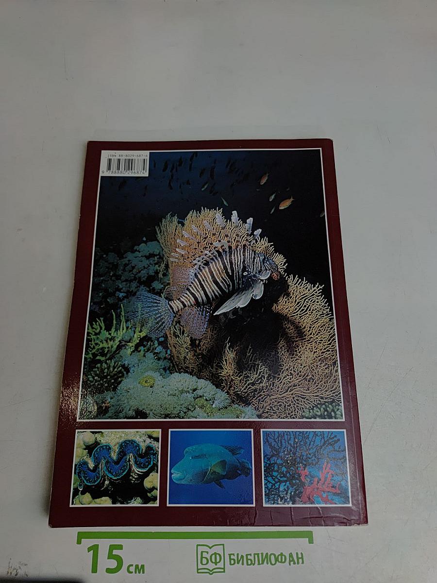 Красное море