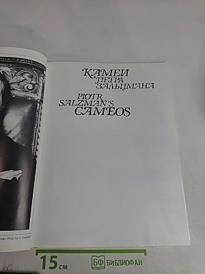 Камни Петра Зальцмана