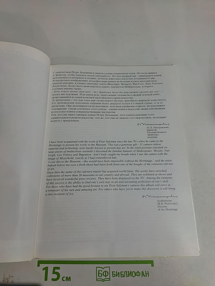Камни Петра Зальцмана