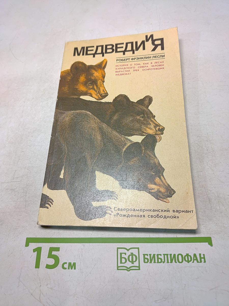 Медведи