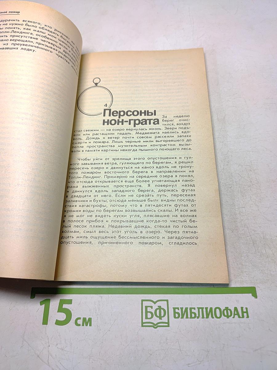 Медведи