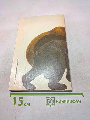 Медведи
