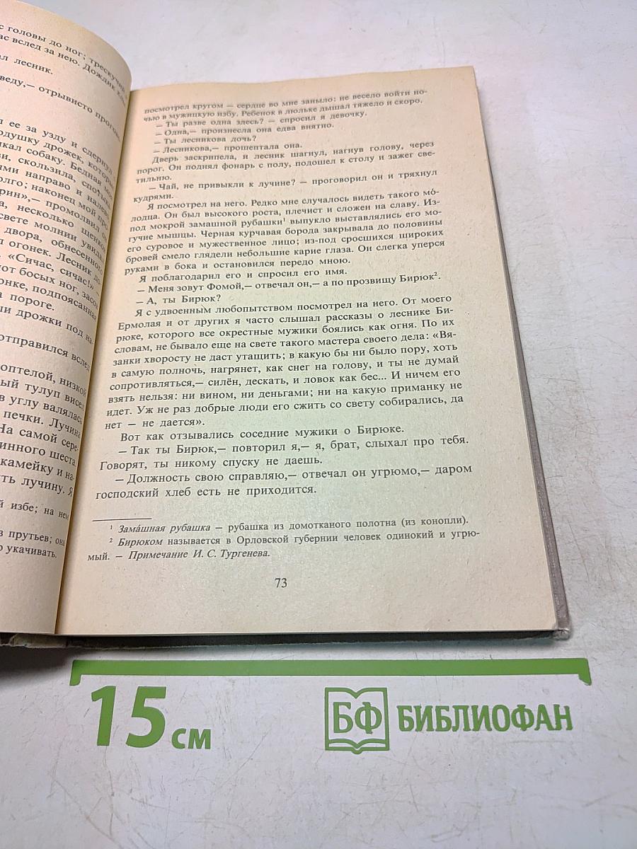 В мире русской литературы. Книга для внеклассного чтения. 6 класс