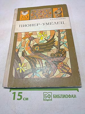 Пионер-умелец
