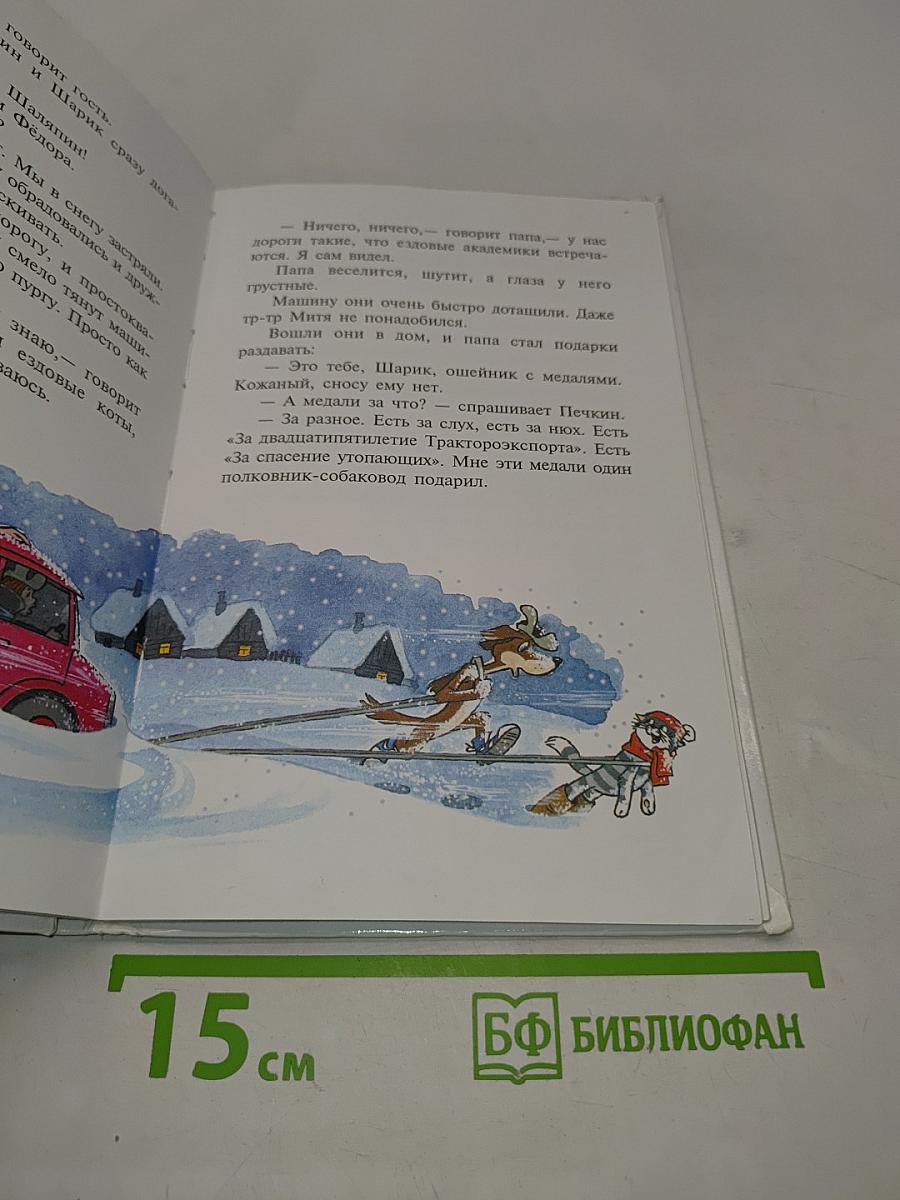 Зима в Простоквашино
