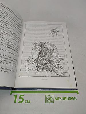 Сероглазый король