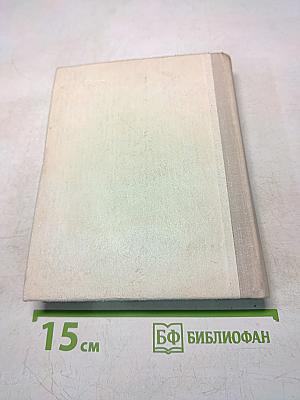 Саша Чекалин