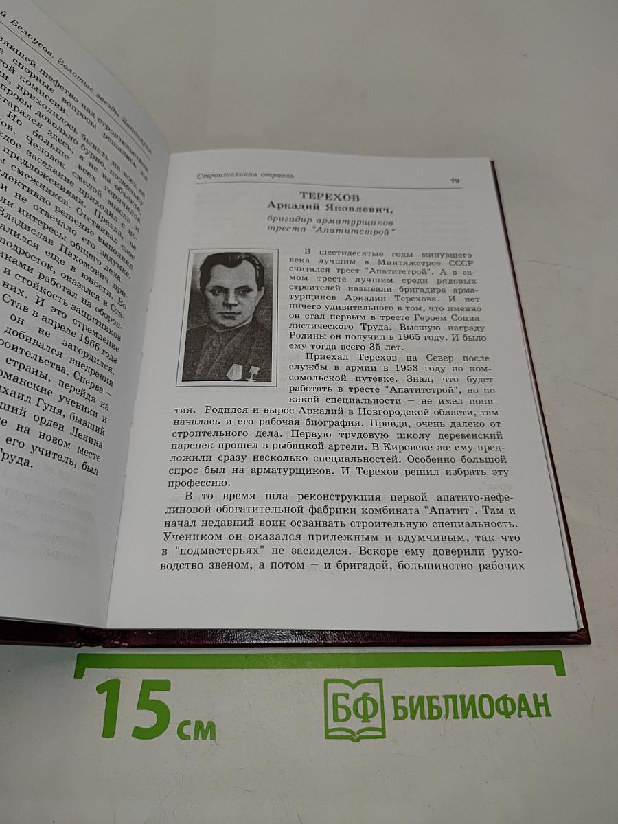 Золотые звезды Заполярья