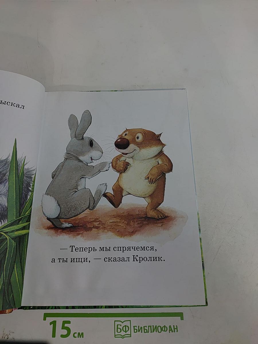 Вот ты где, Вомбатик!